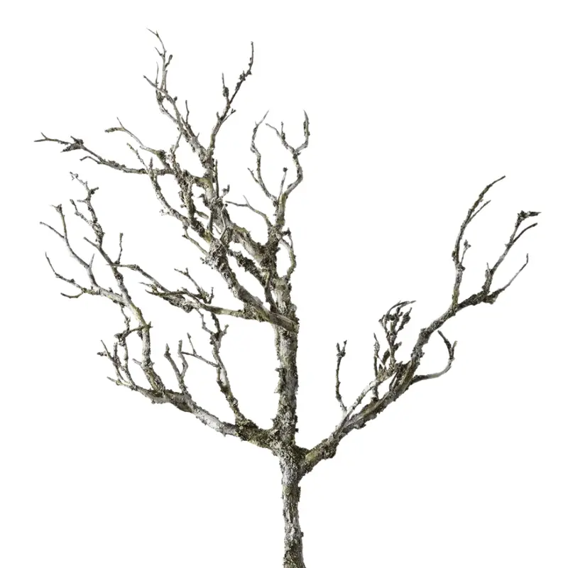 Artificial Coral Ghost Branch for Coastal Interiors