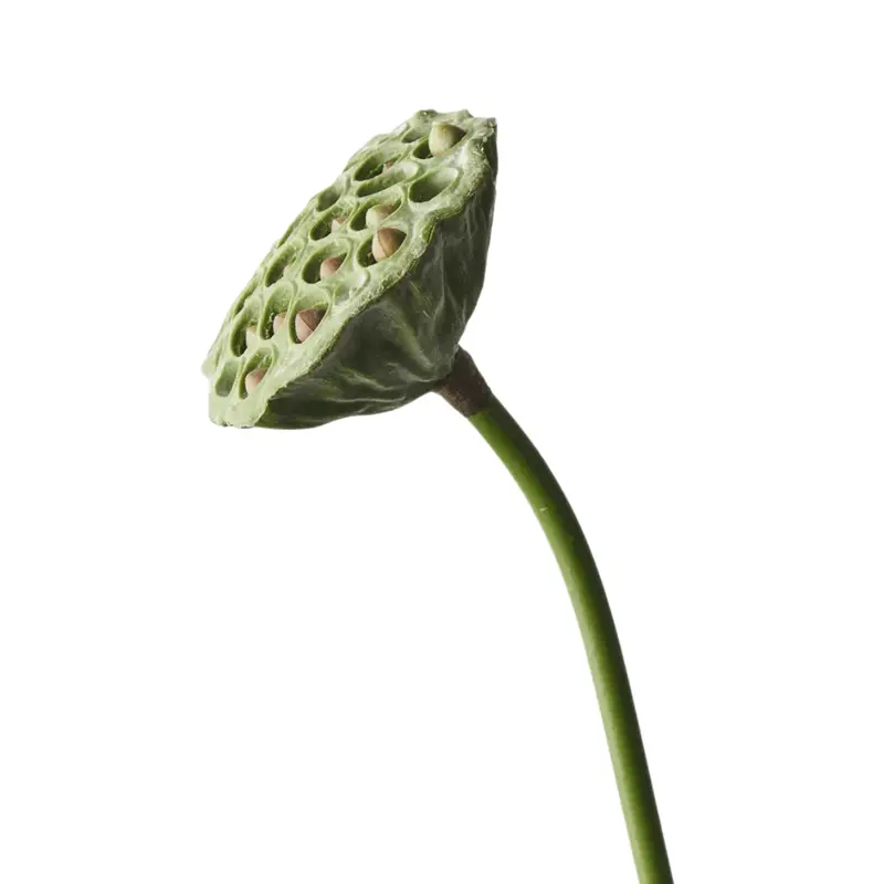 Dried-Look Artificial Lotus Pod Stem Centerpiece