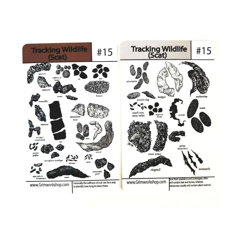 Grim Workshop #15 Wildlife Tracking Tip Card – Animal Scat Identification