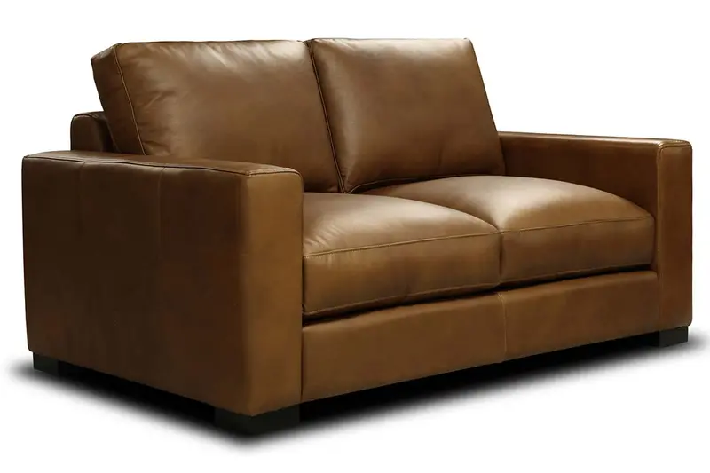 Hugh Modern Leather Loveseat with Track Arms and Sleek Contemporary Lines