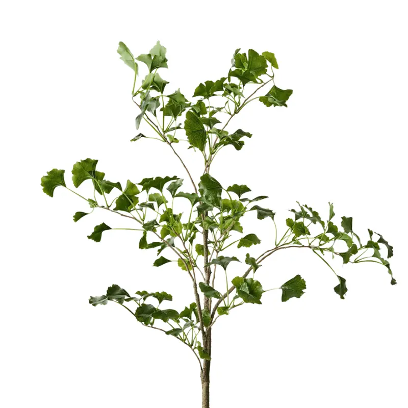 Lifelike Artificial Ginkgo Leaf Branch Display