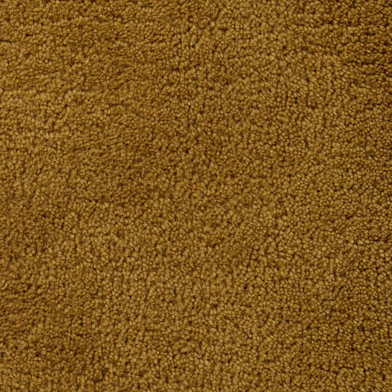 Norfolk Brass-Tone Area Rug – Metallic-Inspired Contemporary Rug