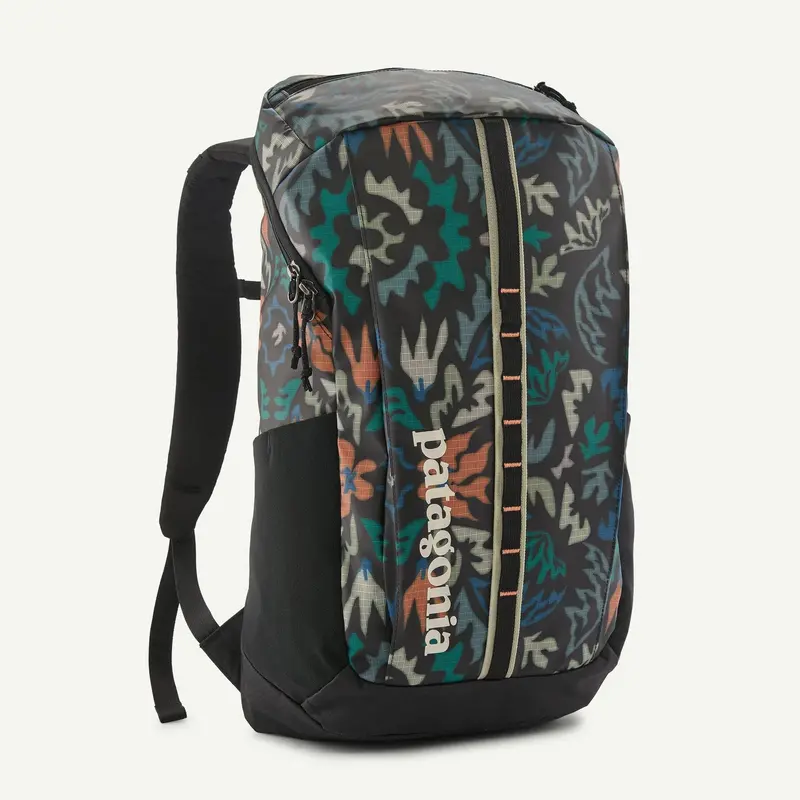 Patagonia Black Hole 25L Daypack – Lightweight, Weather-Resistant Hiking Backpack