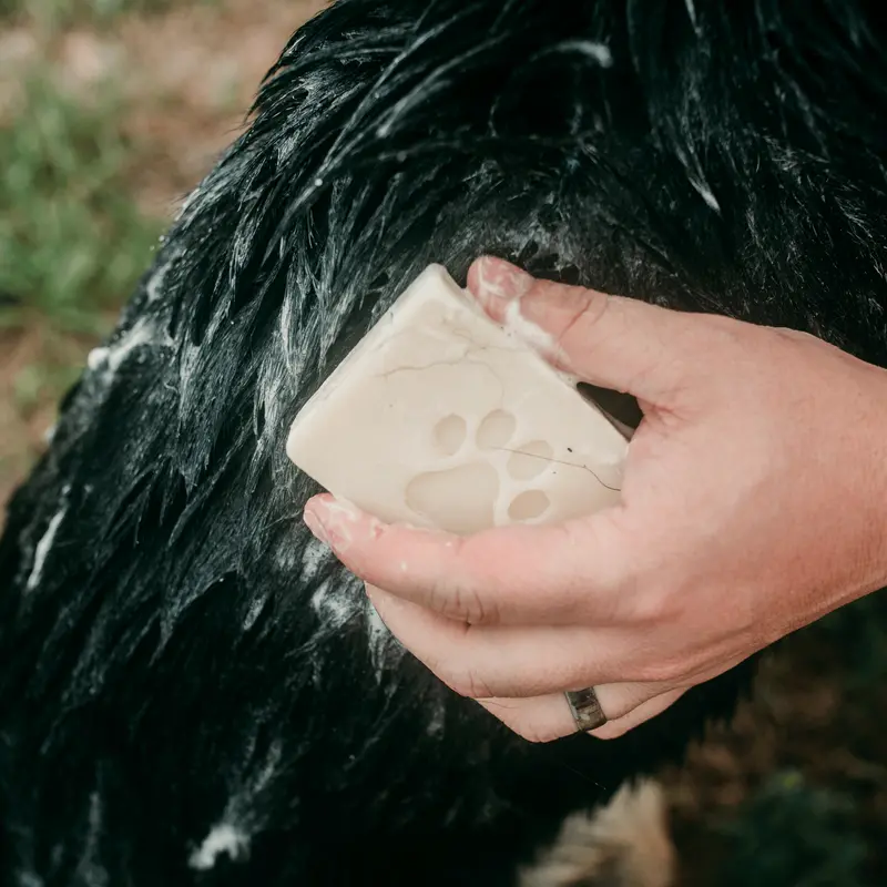 Plastic-Free Pet Shampoo Bar for Dogs – Natural, Vegan, Zero Waste, 4 oz