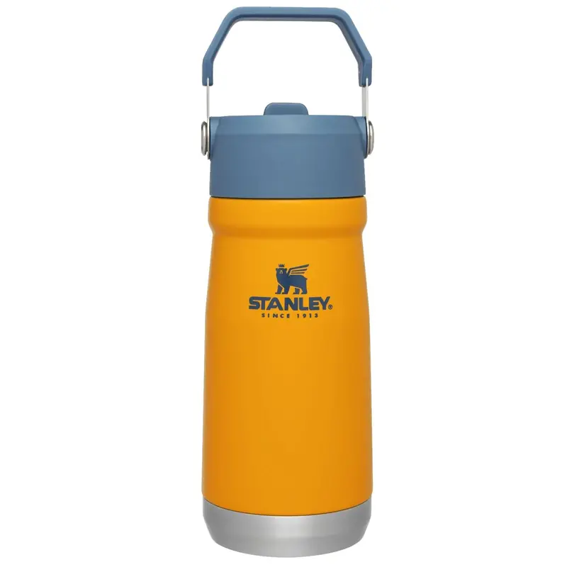 Stanley Flip Straw Insulated Water Bottle – 17 oz