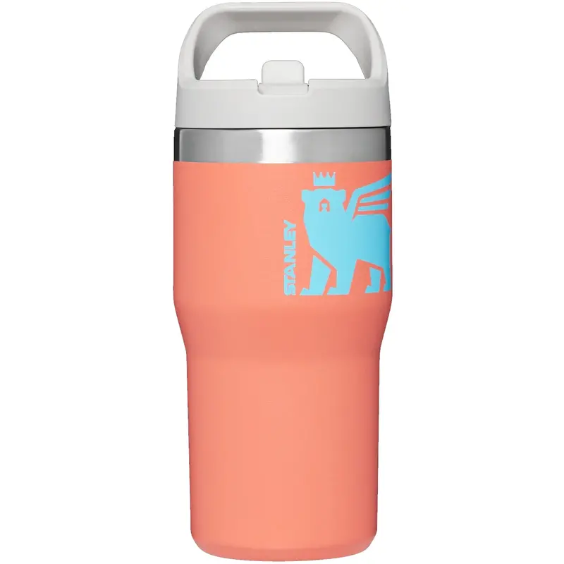 Stanley IceFlow Flip Straw Tumbler – Vacuum-Insulated
