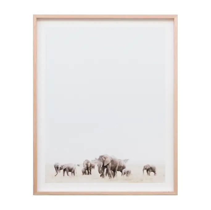 Travelling Herd Wildlife Photography Print